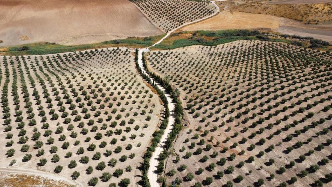 Cortijo Donana * La Puebla de Cazalla