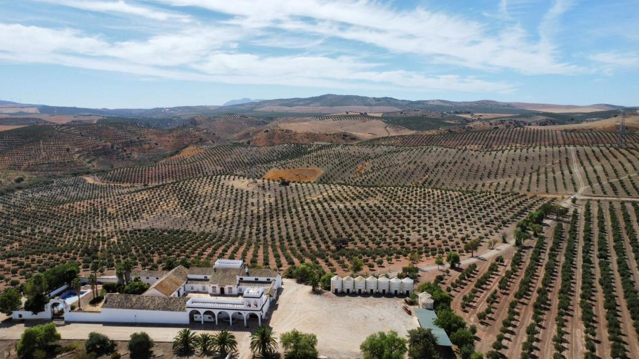 Hébergement de vacances Cortijo Donana *