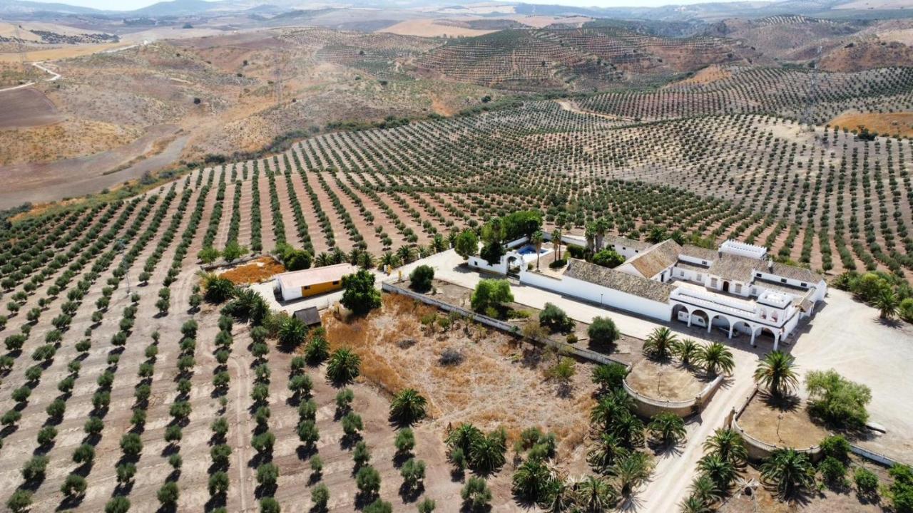 Hébergement de vacances Cortijo Donana La Puebla de Cazalla